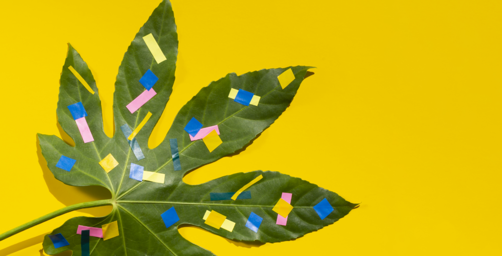 A imagem atual não possui texto alternativo. O nome do arquivo é: chestnut-leaf-with-dots-yellow-copy-space-background-1-scaled.png